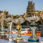 set-cups-trophies-ready-be-delivered-winners-race_