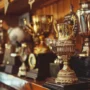 variety-trophies-displayed-wooden-shelf-signifying