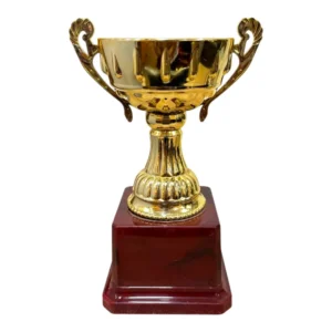 Gold Fiber Trophy Cup with Domed Lid and Wooden Base