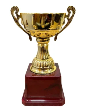 Gold Fiber Trophy Cup with Domed Lid and Wooden Base