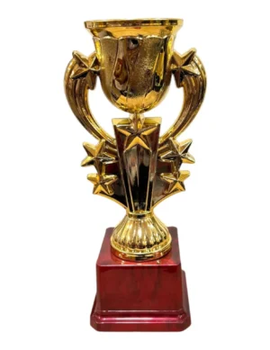 Tall Gold Fiber Trophy Cup with Lid