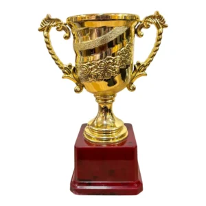 Gold Fiber Trophy Cup with Slim Lidded Bowl