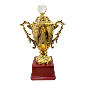 Gold Fiber Trophy Cup with Distinctive Bowl