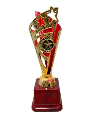 Modern Twin Cup Trophy Set in Red and Blue with Wooden Base