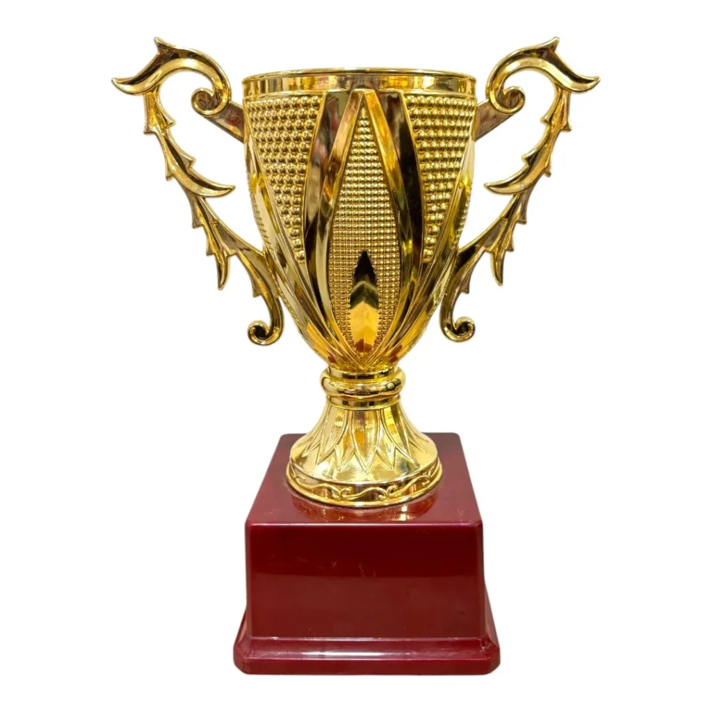 Premium Gold Fiber Big Cup with AA Flagship Size