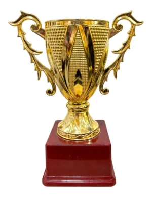 Premium Gold Fiber Big Cup with AA Flagship Size