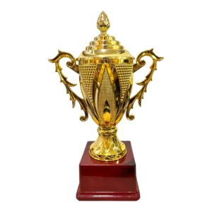 Premium Gold Fiber Big Cup with Etched Bowl