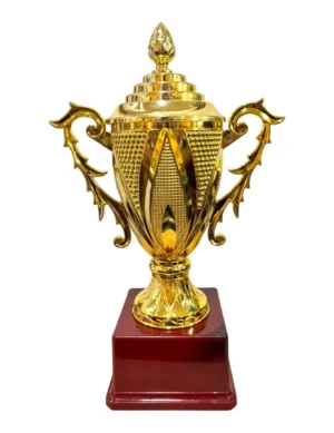 Premium Gold Fiber Big Cup with Etched Bowl