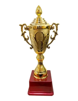 Tall Gold Fiber Big Cup with Five-Size Range