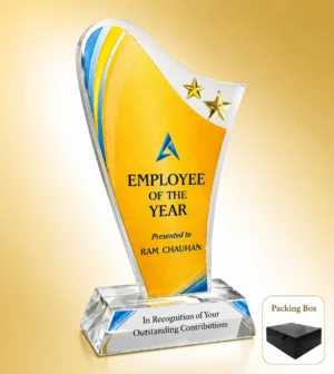 AC-8405 Acrylic Star Employee Award