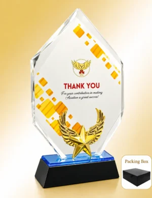 AC-8438 Acrylic Thank You Award