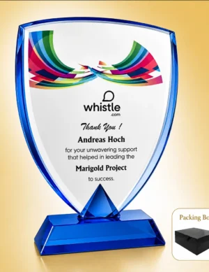 AC-8440 Acrylic Appreciation Award