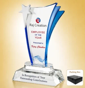 AC-8457 Acrylic Star Employee Award
