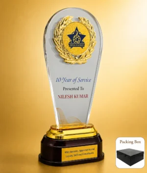 AC-8473 Acrylic Service Medallion Award