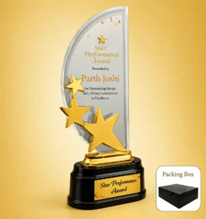 AC-8478 Acrylic Star Performer Award