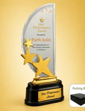AC-8478 Acrylic Star Performer Award
