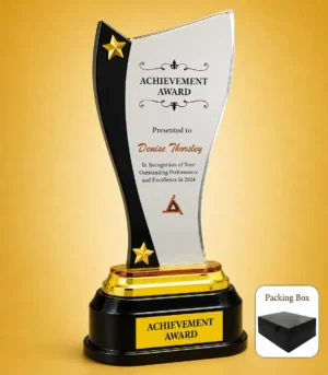 AC-8486 Acrylic Star Achievement Award