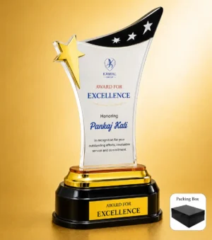 AC-8487 Acrylic Star Excellence Award