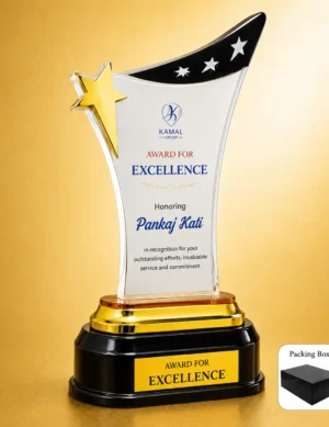 AC-8487 Acrylic Star Excellence Award