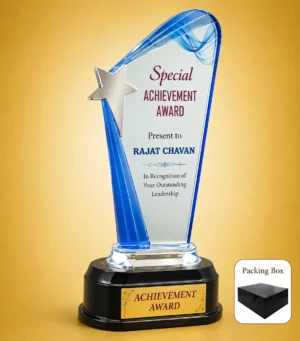 AC-8490 Acrylic Achievement Award