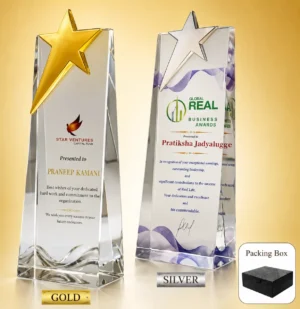 AC-8506 Acrylic Gold Star Award