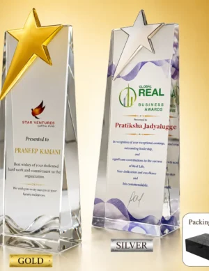 AC-8506 Acrylic Gold Star Award