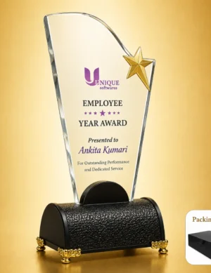 AC-8515 Acrylic Star Year Award