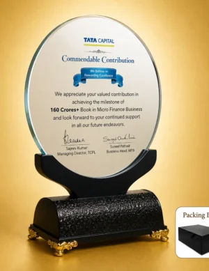 AC-8517 Round Acrylic Disc Award