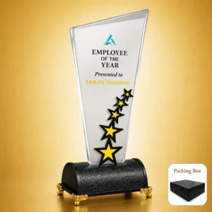 AC-8519 Acrylic Star Employee Award