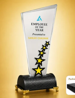 AC-8519 Acrylic Star Employee Award