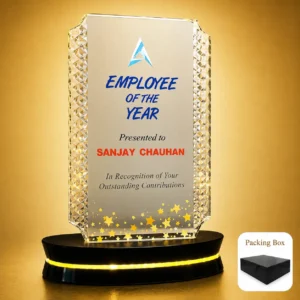 AC-8520 Acrylic Employee of the Year Award