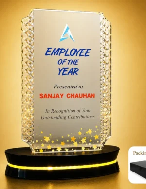 AC-8520 Acrylic Employee of the Year Award