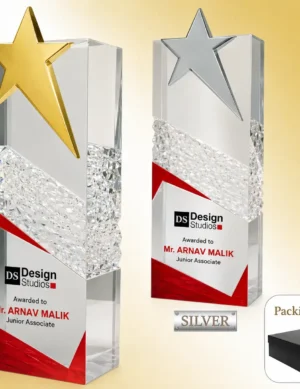 AC-8525 Acrylic Star Award