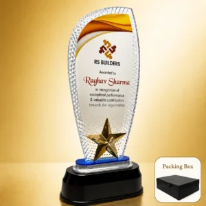 AC-8528 Acrylic Award with Gold Star