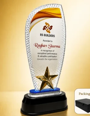AC-8528 Acrylic Award with Gold Star