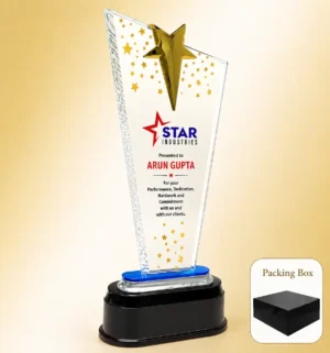 AC-8530 Acrylic Star Burst Award