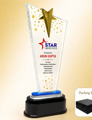 AC-8530 Acrylic Star Burst Award