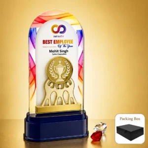 AC-8532 Acrylic Award with Gold Medal