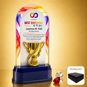 AC-8533 Colourful Acrylic Cup Award