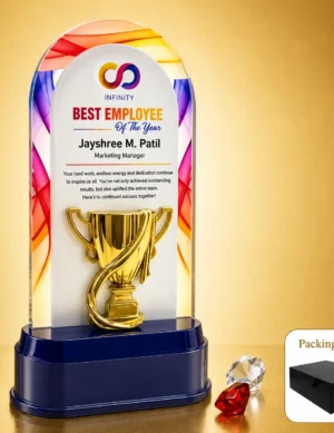 AC-8533 Colourful Acrylic Cup Award