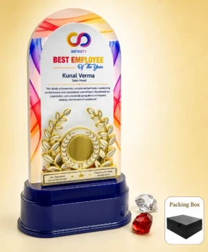 AC-8534 Colourful Acrylic Trophy Cup Award