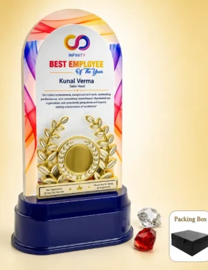 AC-8534 Colourful Acrylic Trophy Cup Award