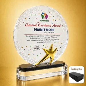 AC-8535 Round Acrylic Star Award