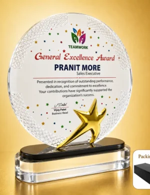 AC-8535 Round Acrylic Star Award