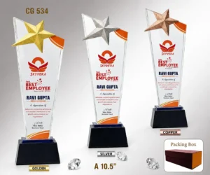 CG-534 Tri-Star Crystal Award