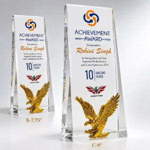 CG-536 Twin Crystal Eagle Award