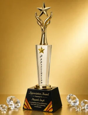 CG-550 Gold Star Figure Crystal Award