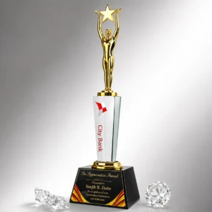 CG-558 Clear Crystal Star Figure Award