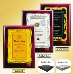 FP-10615 Gold Certificate Frame Plaque