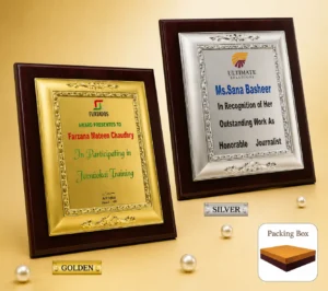 FP-10618 Silver & Gold Certificate Frame